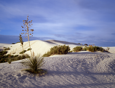 Morning, White Sands New Mexico